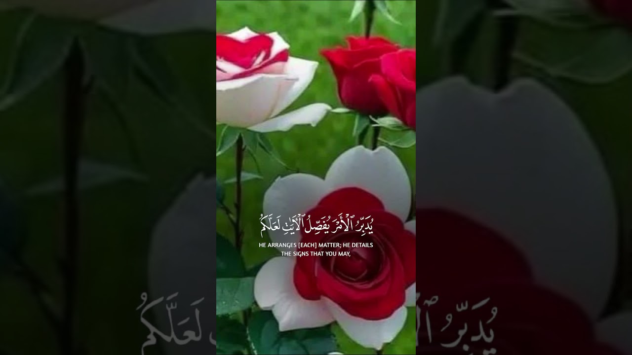 Islamic videos short videos viral videos 