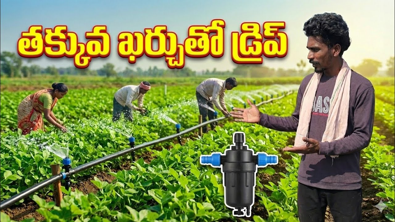 తక్కువ ఖర్చుతో డ్రిప్ ఇరిగేషన్! నీటి కష్టాలకు చెక్ పెట్టండి | Low Cost Drip Irrigation Telugu