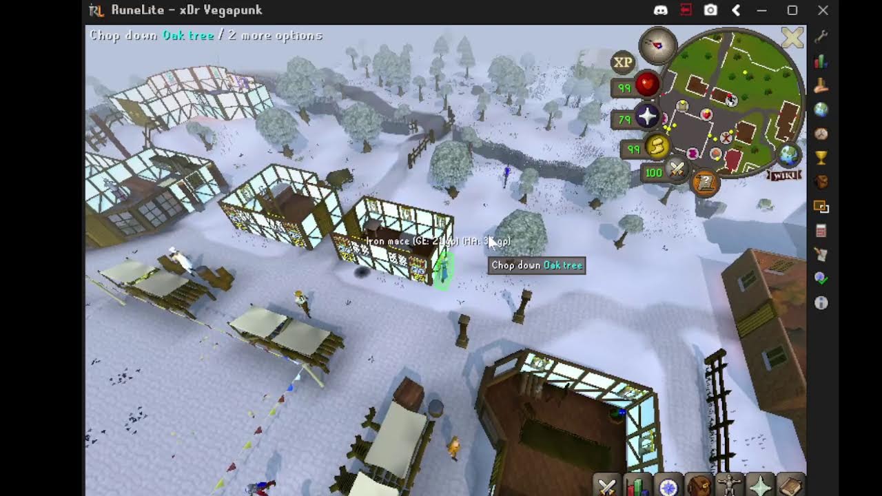 GETTING 99 AGILITY OSRS