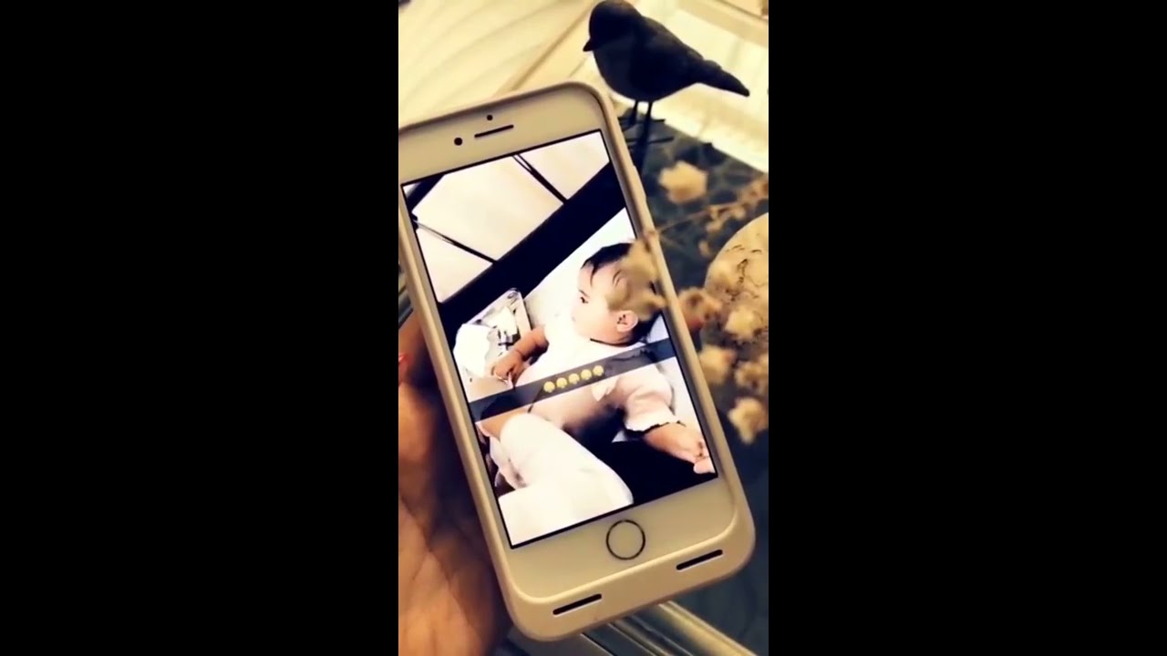 سنابات افنان الباتل #243
