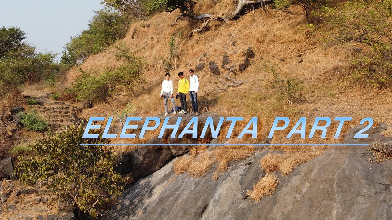 Elephanta Part 2 | Guptaji ke vlogs