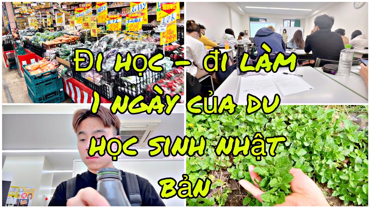 50 | 1 ngày của du học sinh nhật bản | đi học , đi làm và tâm sự | cuộc sống nhật bản 2023