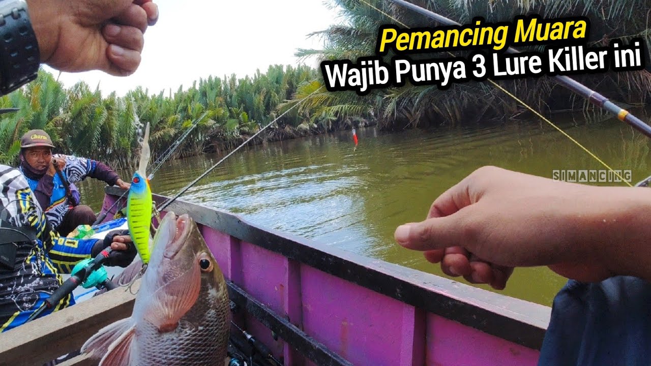 3 Jenis Umpan Minnow Favorit Mancing Muara Amis Semua, Mangrove Jack, Kerapu, dan Barakuda