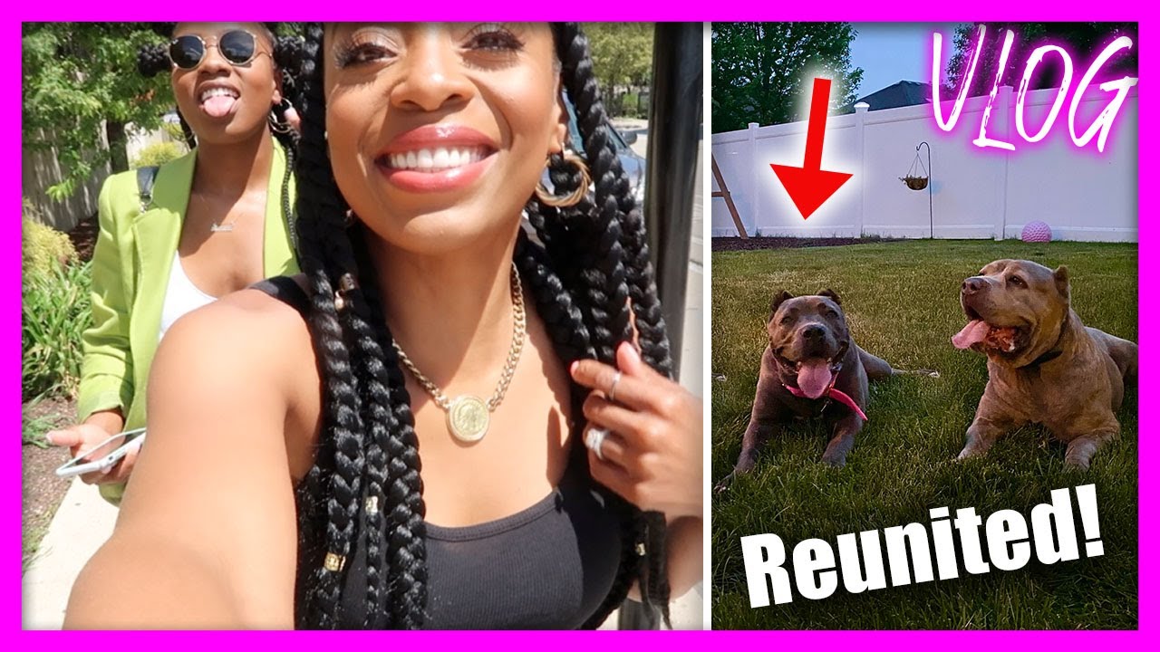 My Cane Corso Reunites With her Daughter and THIS happens! (Father's Day Weekend) | VLOG