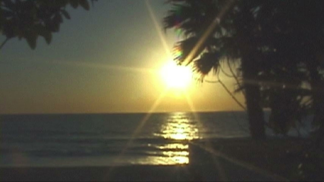 2006