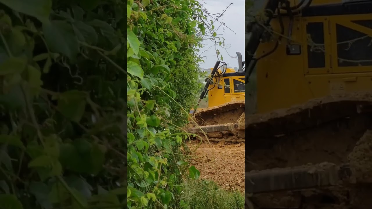 Amazing Strong Bulldozer or Dozer (2180) | Heavy Machine #shorts #dozer #bulldozer