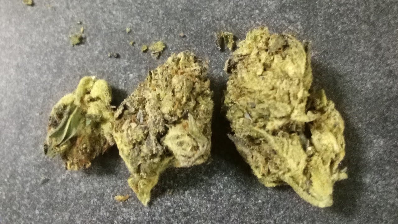 Black Domina thca hemp flower Review my canna buds