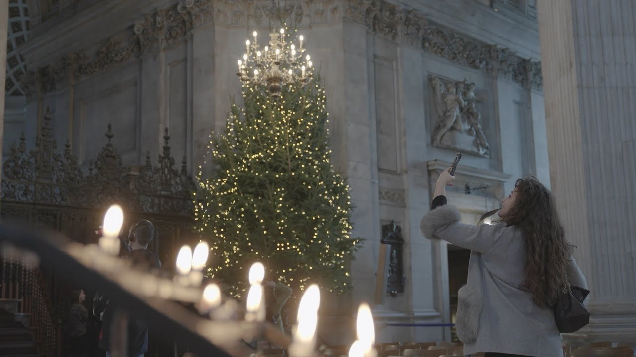 Putting up Christmas trees at St Paul’s Cathedral