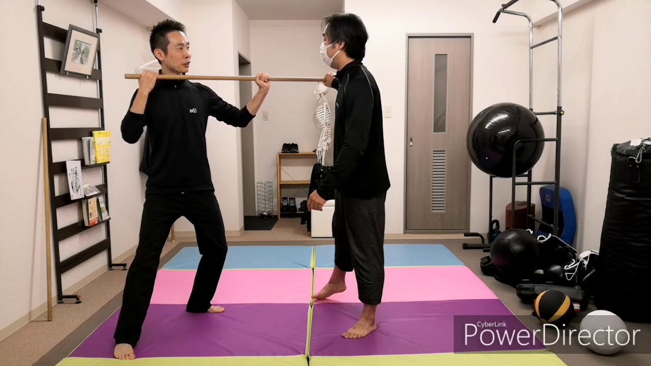 杖とパンチ(腕に働く力の可視化)
