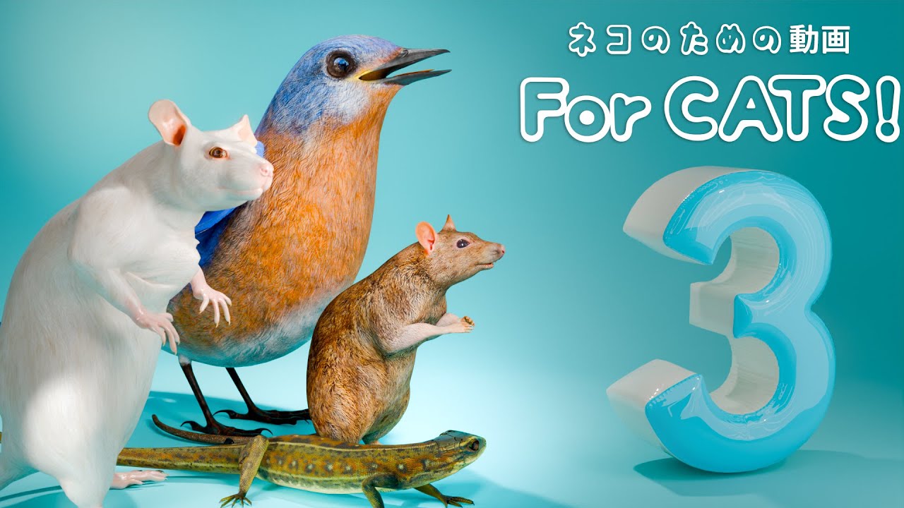 【猫が喜ぶ映像 3】ねずみ・トカゲ・ゴキブリ・てんとう虫・スズメ・蝉 4 時間 GAME FOR CATS 3