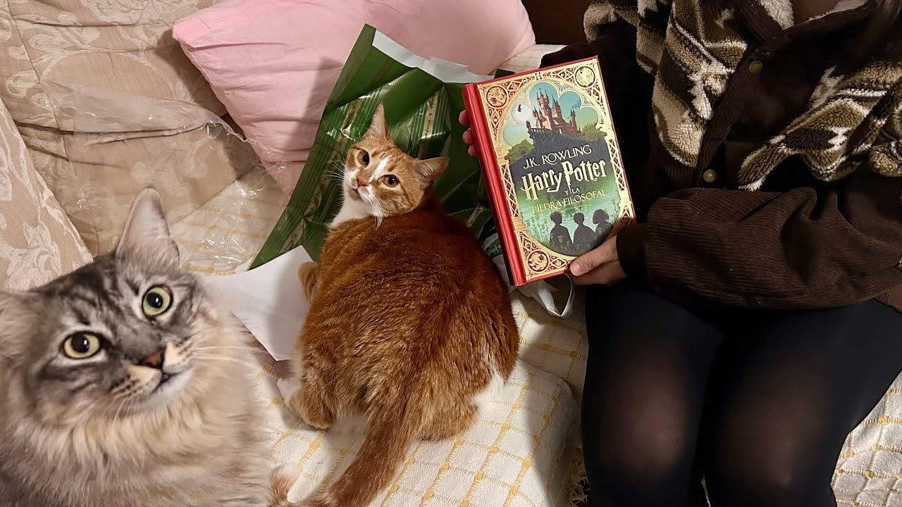 #ASMR | Libro interactivo de HARRY POTTER ⚡️😴