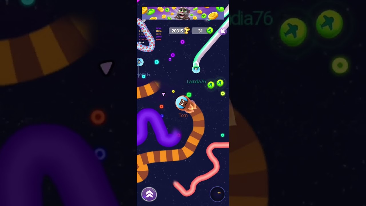Snake gamee