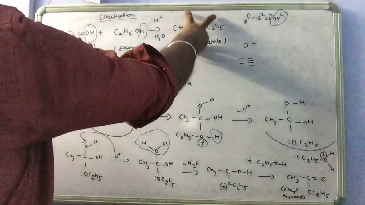 12th mechanism of esterification easy 5 marks tamil explain