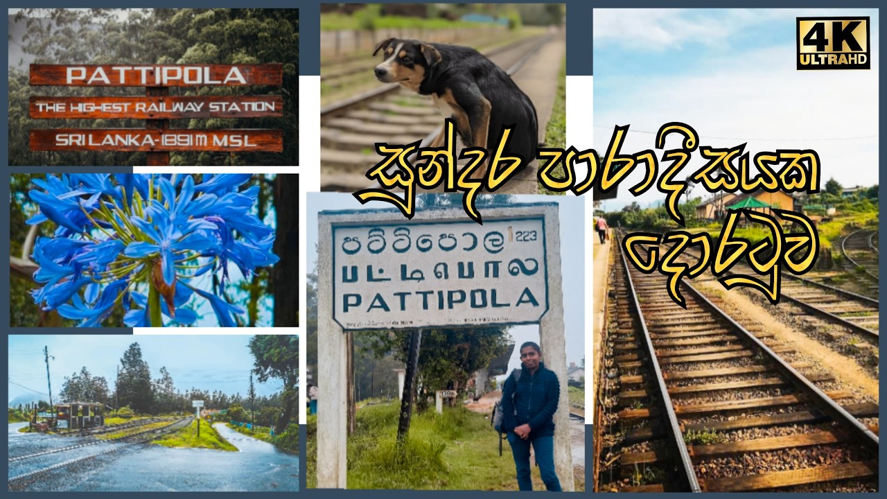 Sri lanka Highest Railway station🚂 PATTIPOLA  - සුන්දර පාරාදීසයක දොරටුවට අපේ සවාරිය ⛰ කෑමට මරු තැනක්