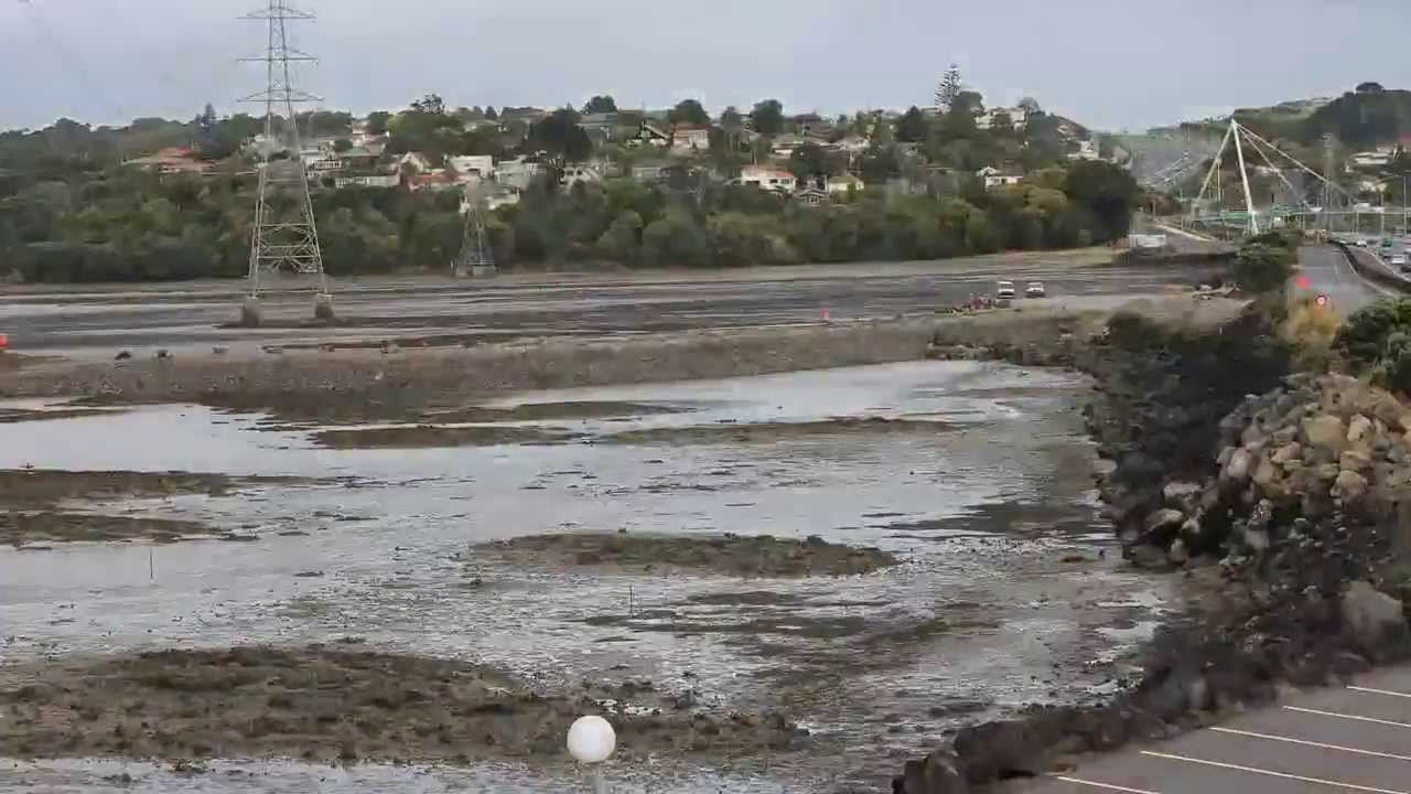 Restoration of Onehunga Bay (Camera 1)
