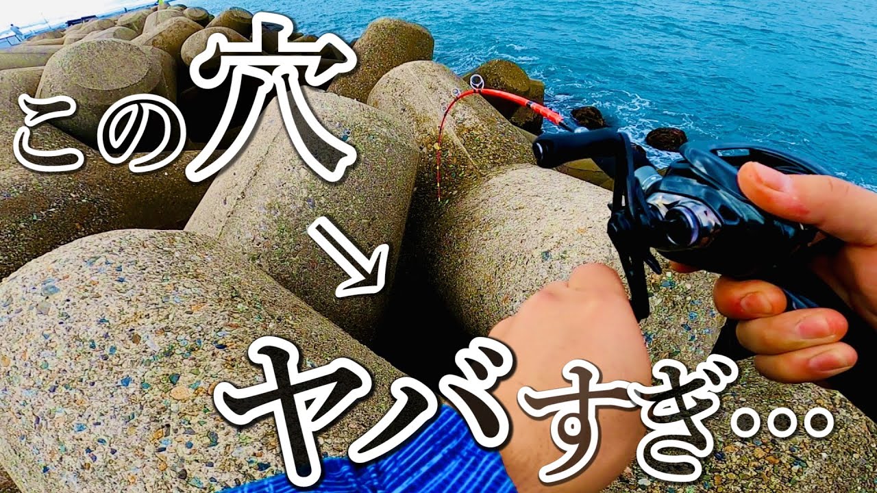 【穴釣り】高級魚が釣れ続ける穴がヤバすぎました