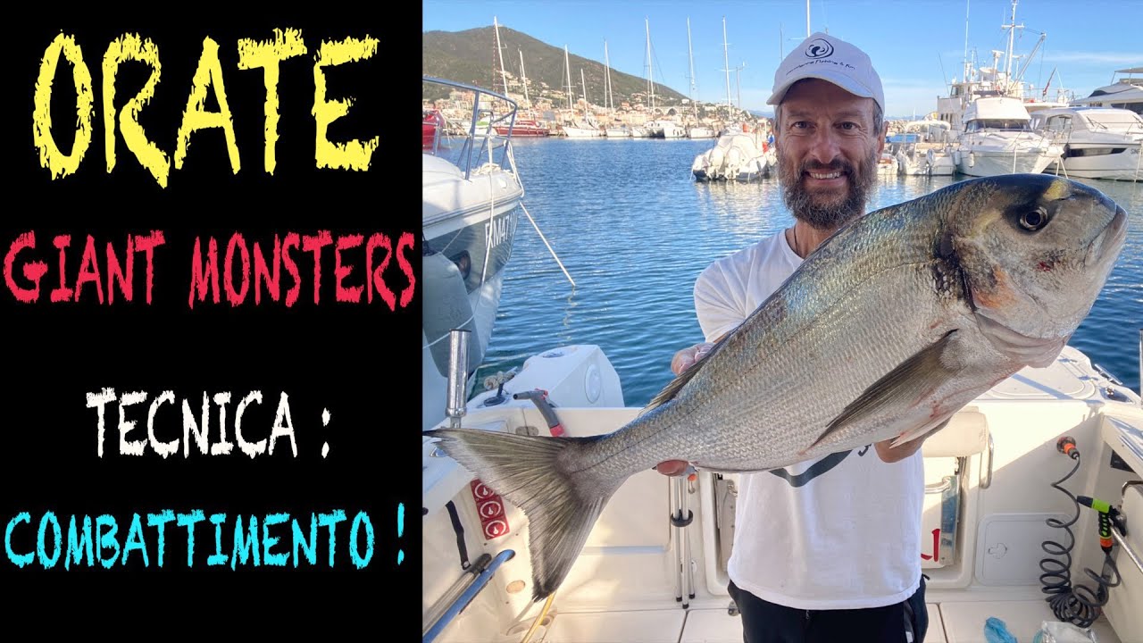 ORATE GIANT MONSTERS  🐳🐳🐳  TECNICA 📝 COME AFFRONTARE IL COMBATTIMENTO 💪