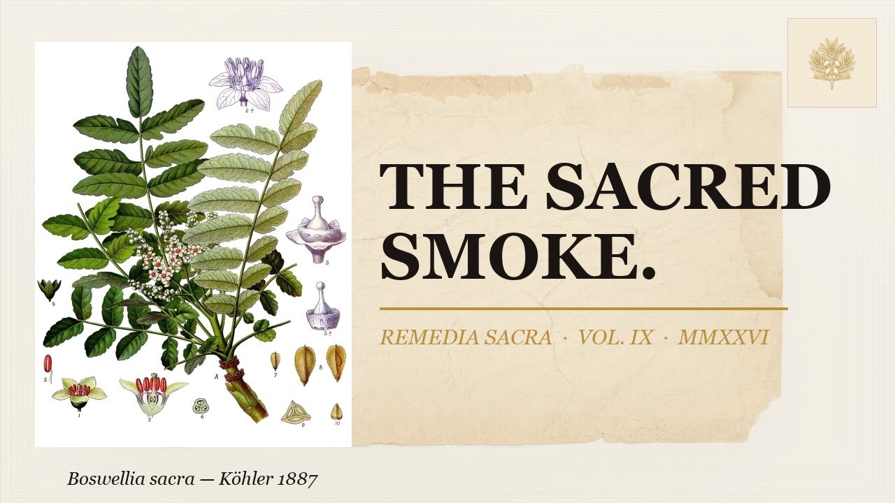 Frankincense: The Smoke They Called Prayer