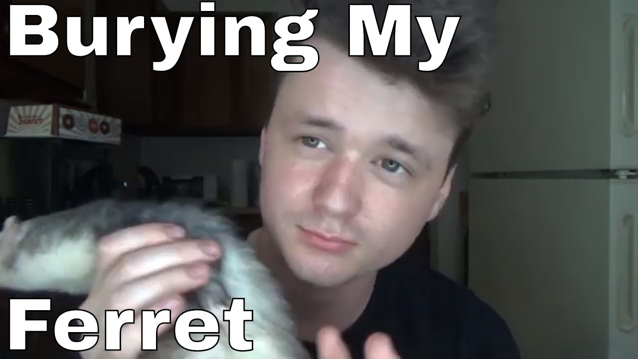 Burying My Ferret