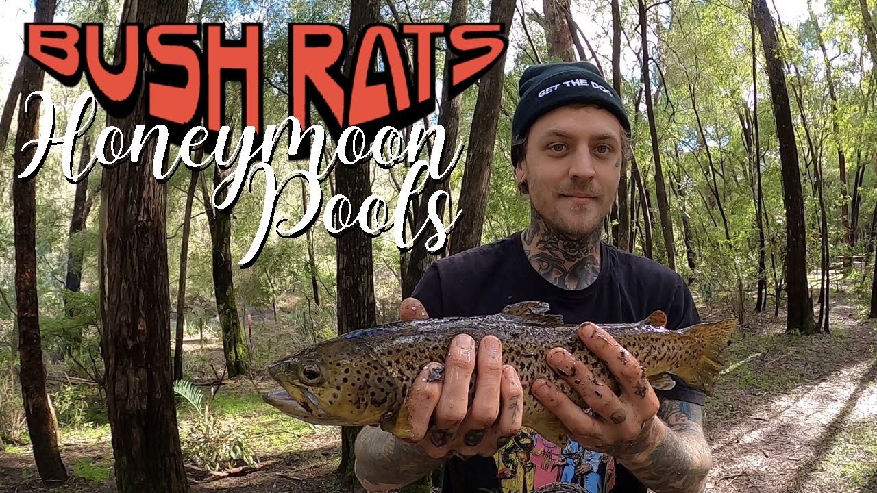 Honeymoon Pools | Camp, Fish, Catch and Cook!!