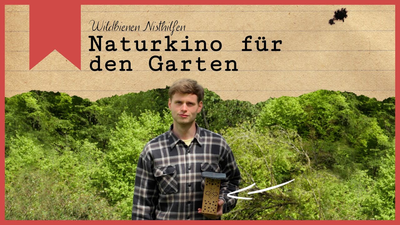 Naturkino für den Garten - Wildbienen Nisthilfen - Insecticon und flowbee