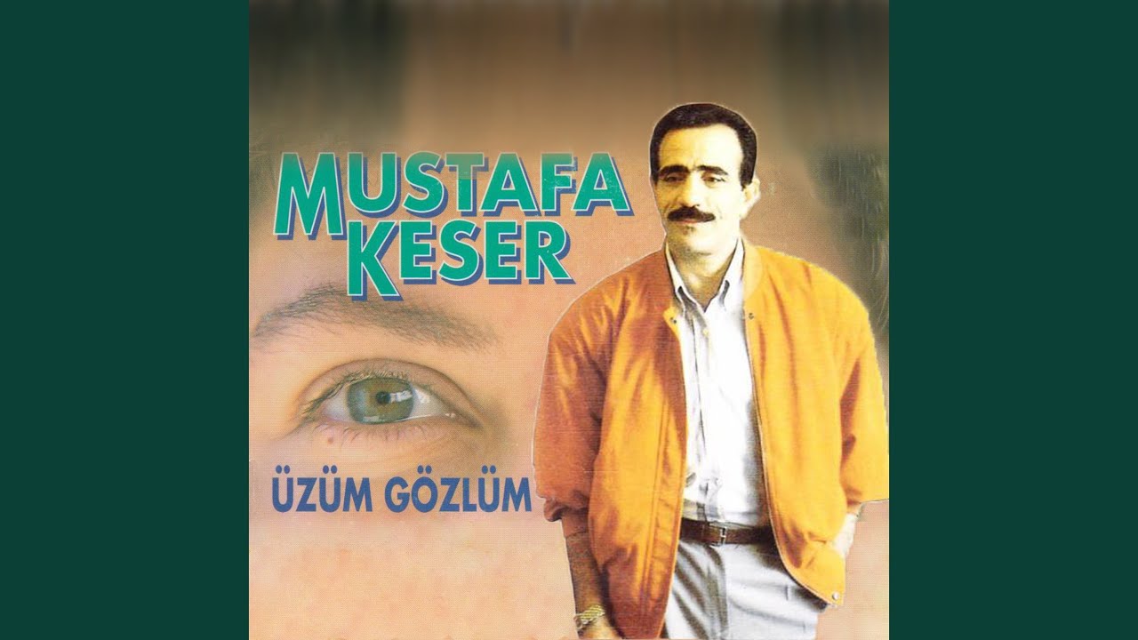 Seni Sevdim Bir Gül Gibi