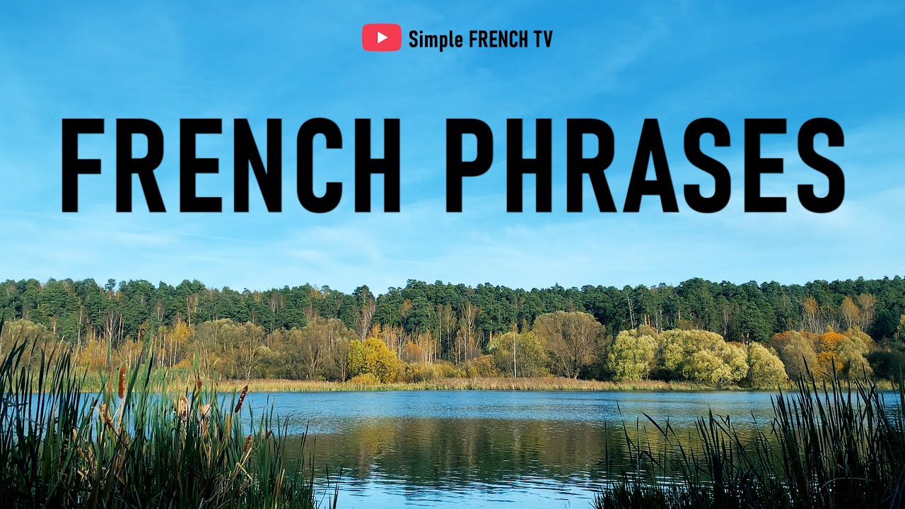 French Phrases Masterclass: Essential Common Expressions for Every Learner