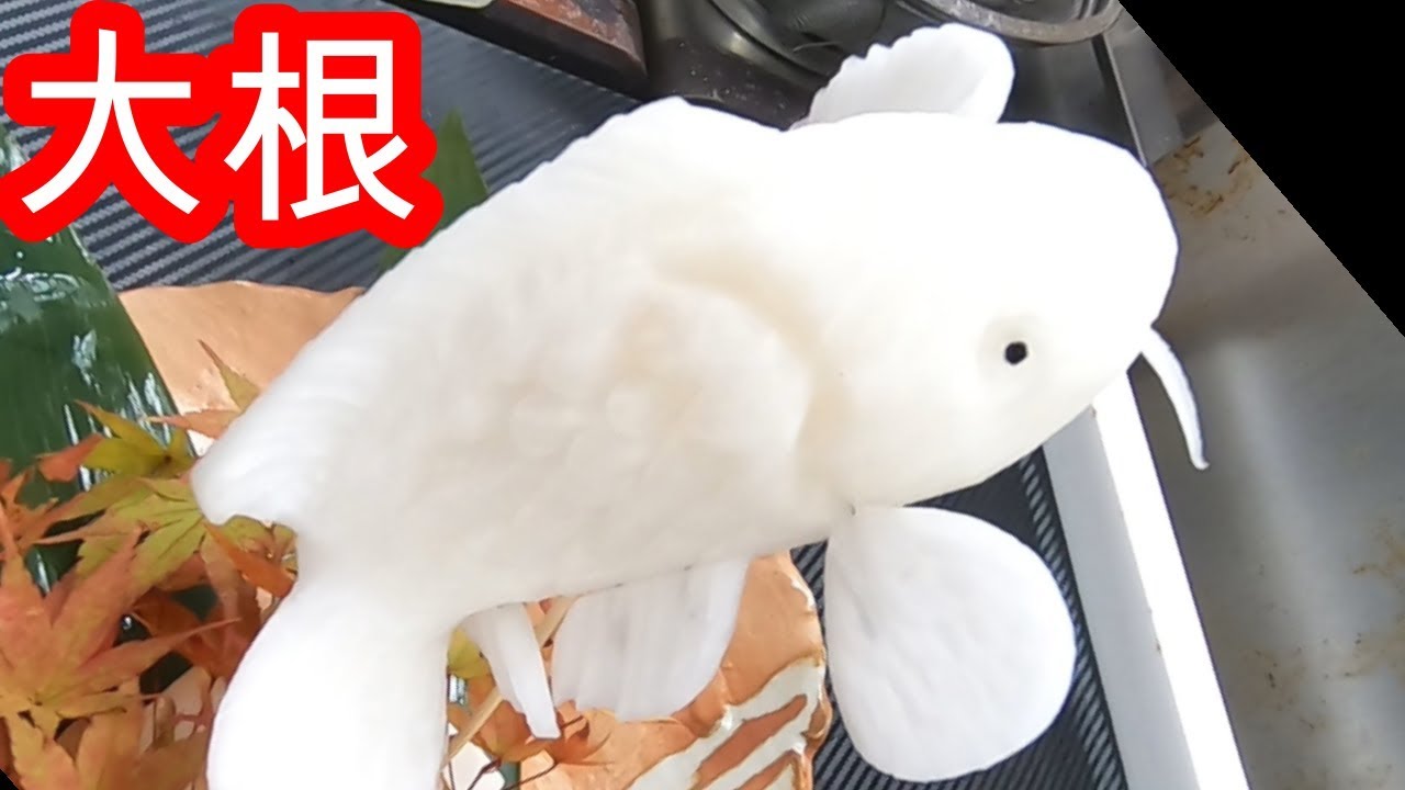 【剥きもの】　コイ　大根