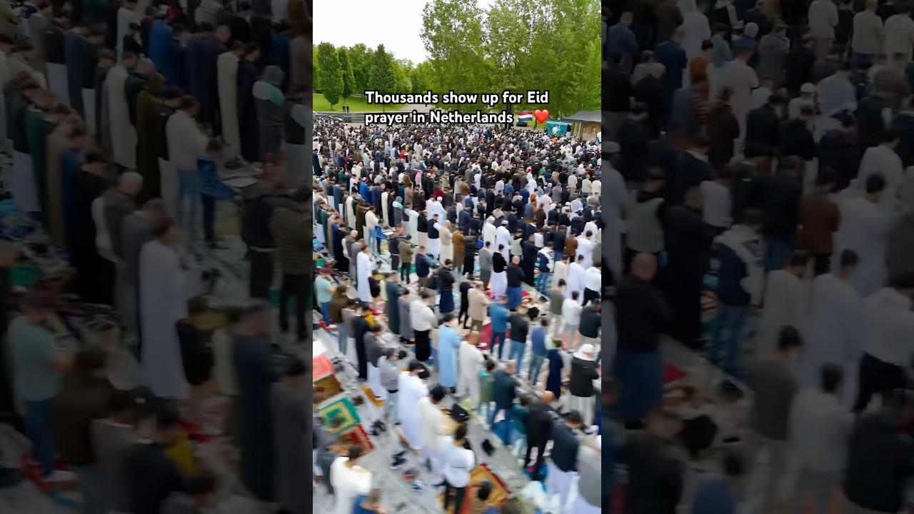 Largest Eid prayer in Netherlands 🇳🇱 ❤️ #alafasy #eid #prayer #amsterdam #eidmubarak