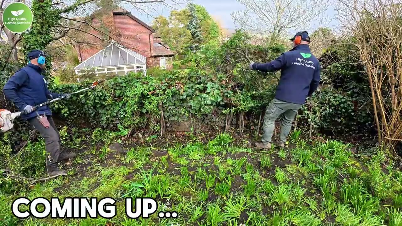 This Hedge Was OUT OF CONTROL!