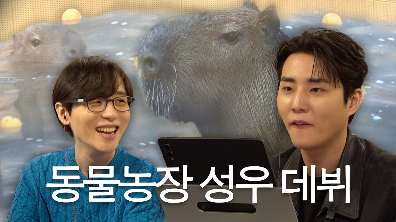 포트폴리오 업데이트