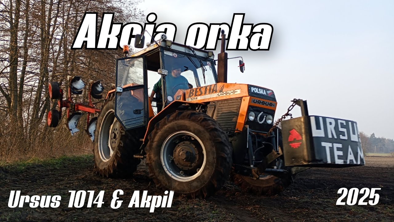 Akcja orka Ursus 1014 & Akpil KM 80 Bestia idzie jak kuna tłok w głowicy 💪💪🚨🚨🔥🔥 12.03.2025.