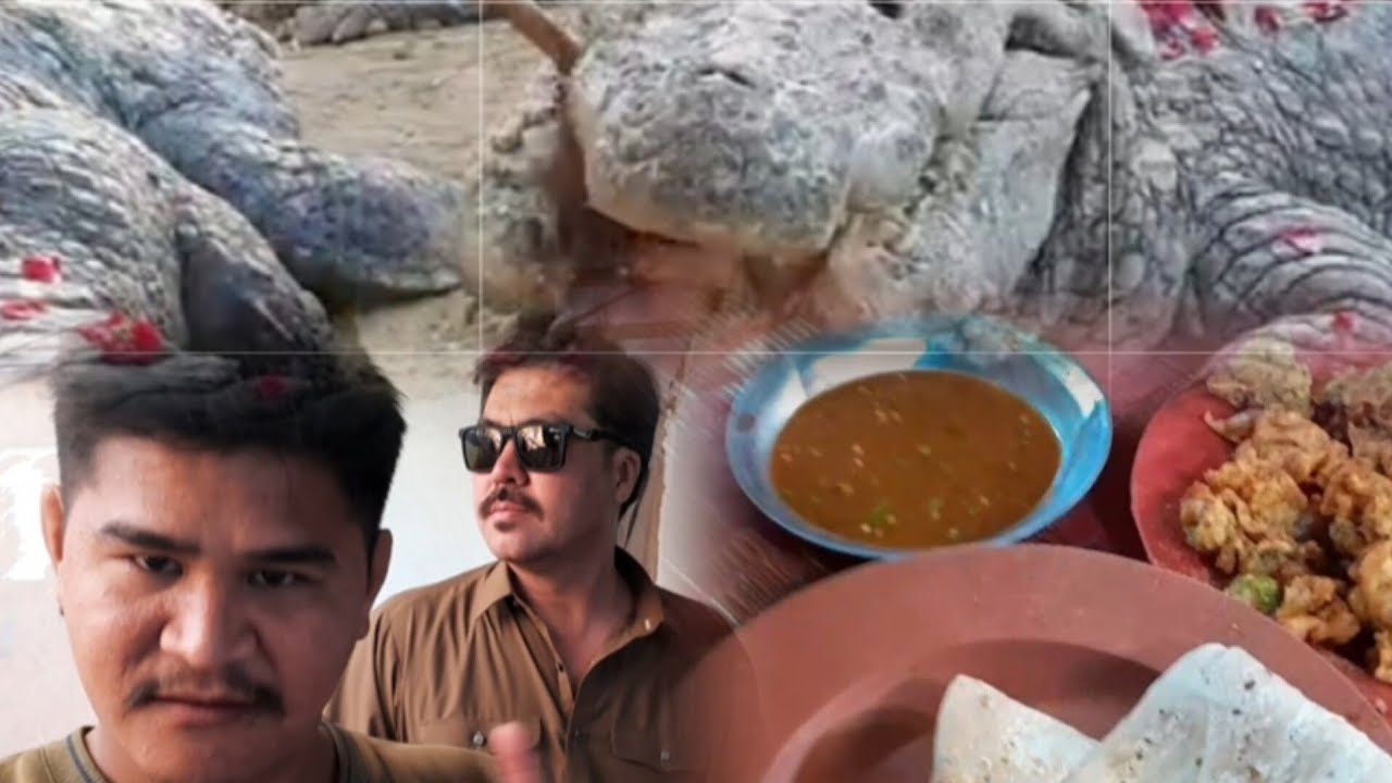 منگوپیر کا گرم چشمہ اورcrocodile of Manghopir Karachi with friends  Ashfaq changaze  M  jumshed
