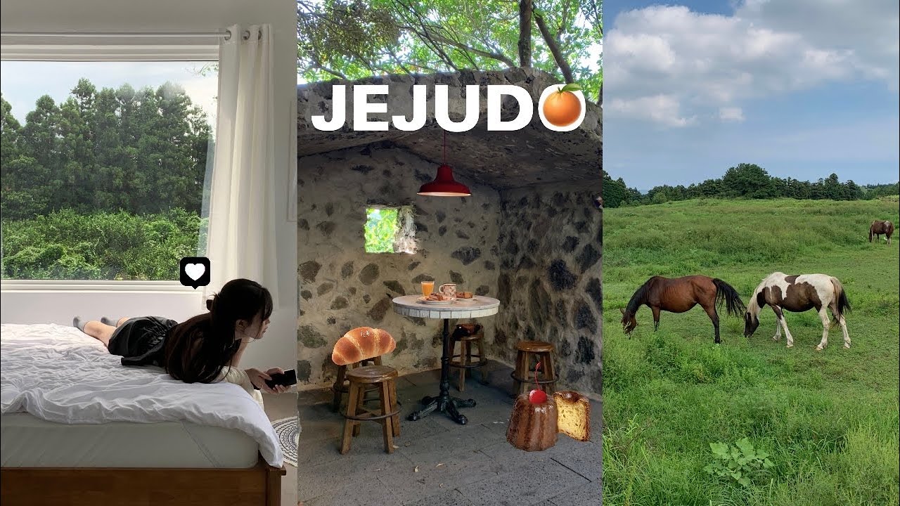 ᵛᴸᴼᴳ 제주여행 브이로그 🐎| 힐링과 감성 다 잡은 추천 일정 대공개 ᵎᵎᵎ 나만 따라와 🤎 숙소•맛집•핫플 총정리 (제주도 3박 4일 여행 코스)