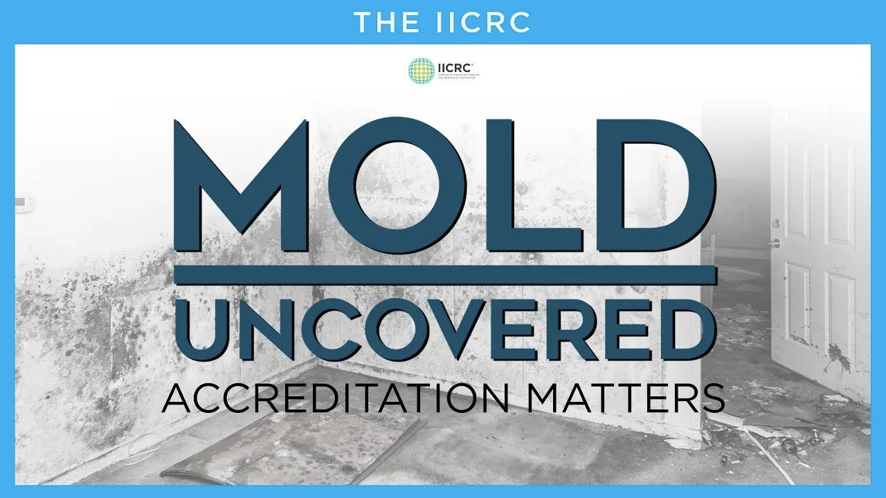 Introducing: The Mold Uncovered Campaign | IICRC