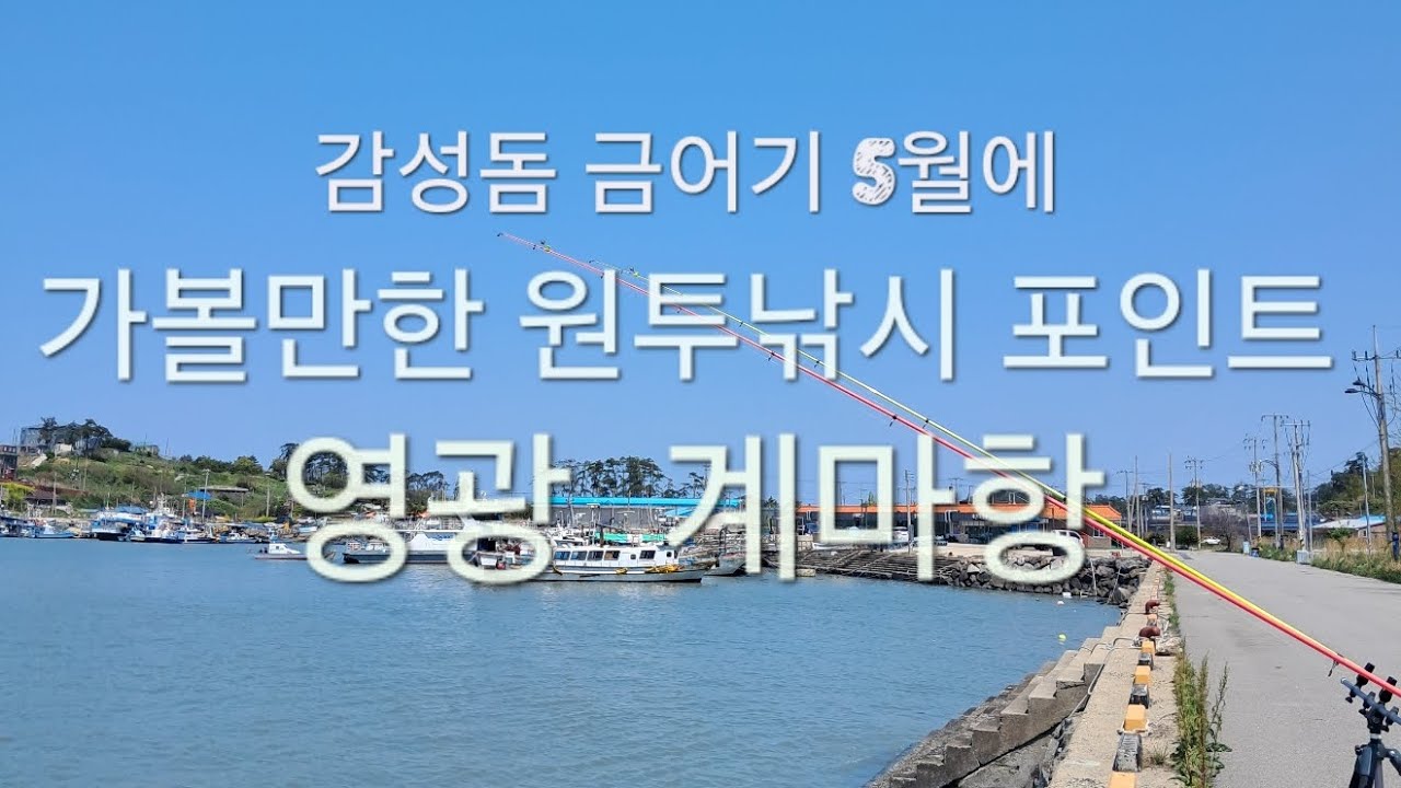 감성돔 금어기에 가볼만한 원투낚시 포인트#숭어원투낚시#농어원투낚시#영광계마항