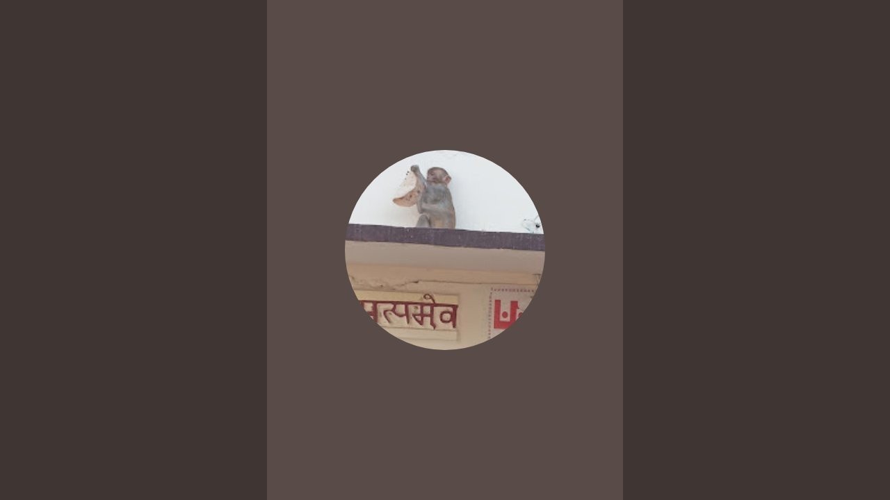 @ram roti  is live