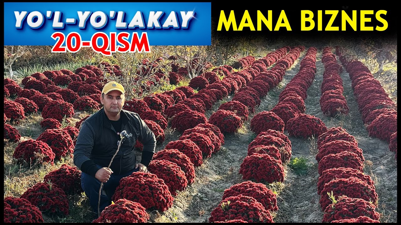 YOʻL-YOʻLAKAY. 20-QISM. MANA BIZNES