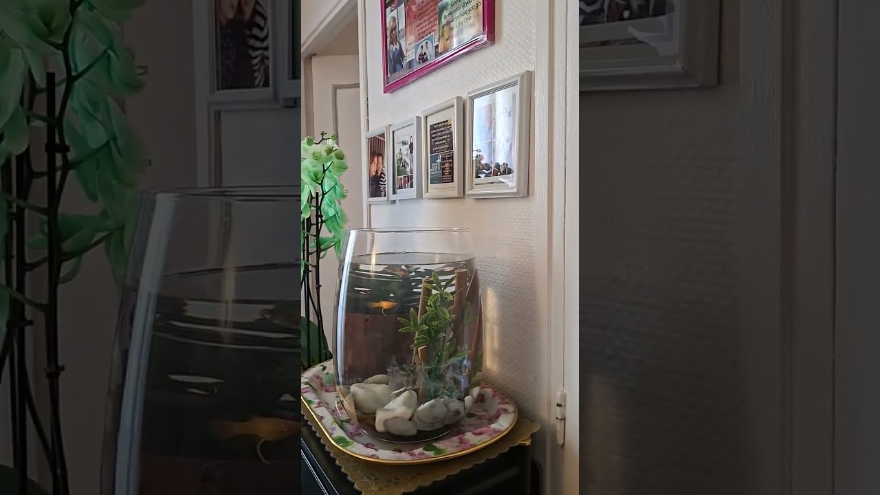 My house in Paris & cute aquarium 
