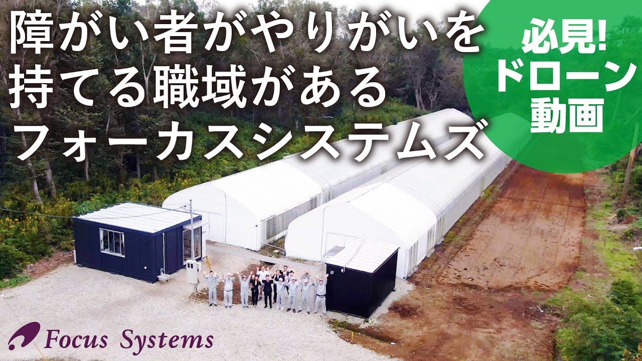 障がい者がやりがいを持って働ける職域のあるフォーカスシステムズ