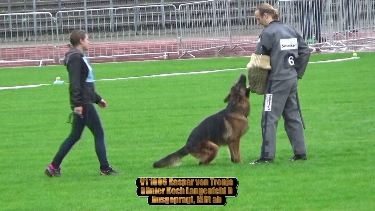 2017 SV BSZS in Ulm TSB part 11 V1 Kaspar von Tronje