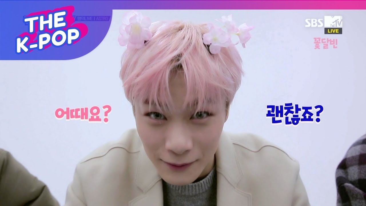 ASTRO, HAPPY STAN LIVE [THE SHOW 190129]