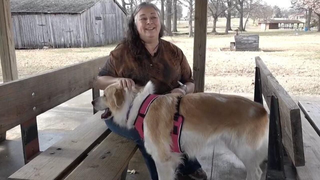 Leigh's Lost and Found Digital Extra: Sightings lead to happy reunion