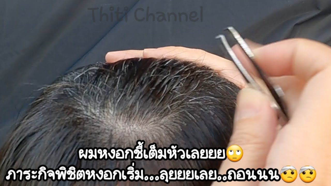 ผมหงอกขึ้นกำลังคันเลย..ถอนสะหน่อย😬  @ThitiChannel
