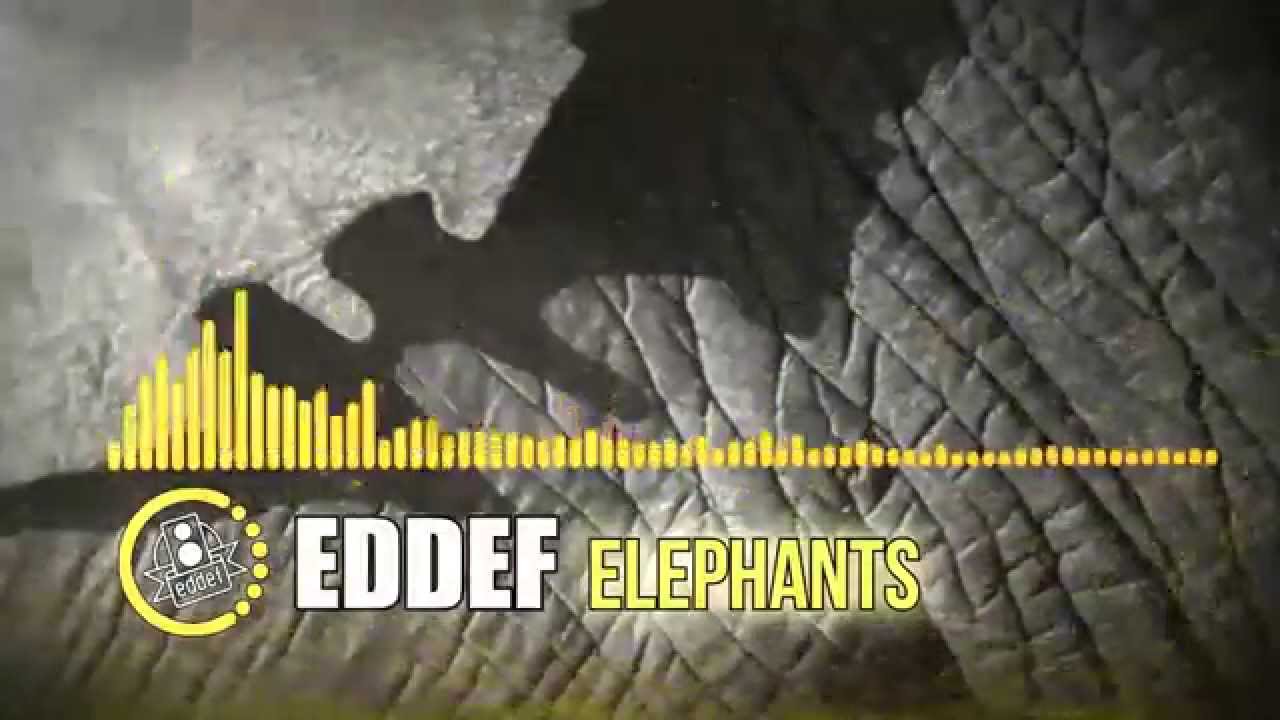 Eddef - Elephants (Original Mix)
