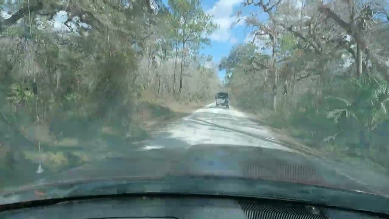 RICHLOAM AREA OFF SOFAT TRAIL RIDING 02 14 2026
