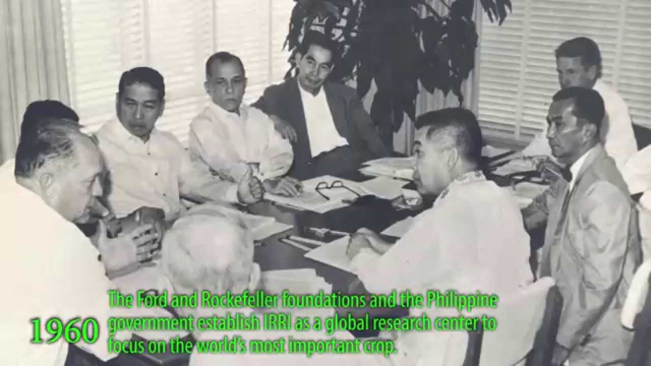 Timeline of significant achievements and events at the International Rice Research Institute