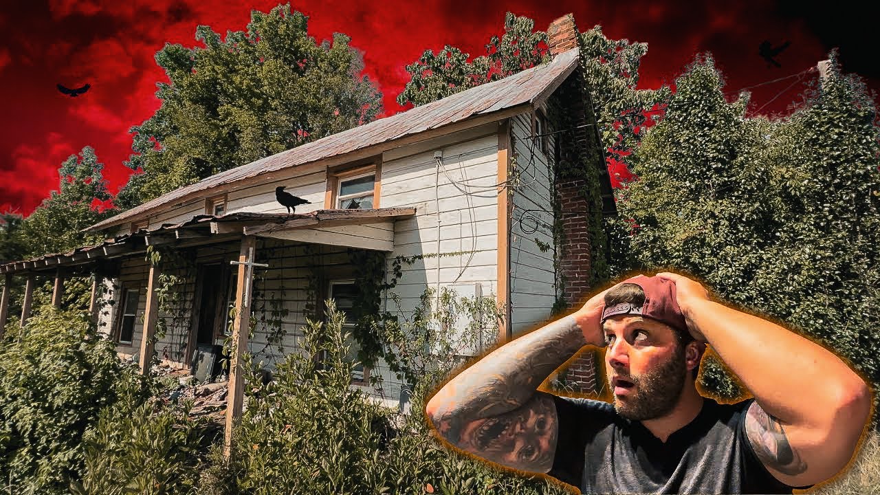 What The HELL Went On In This House!?