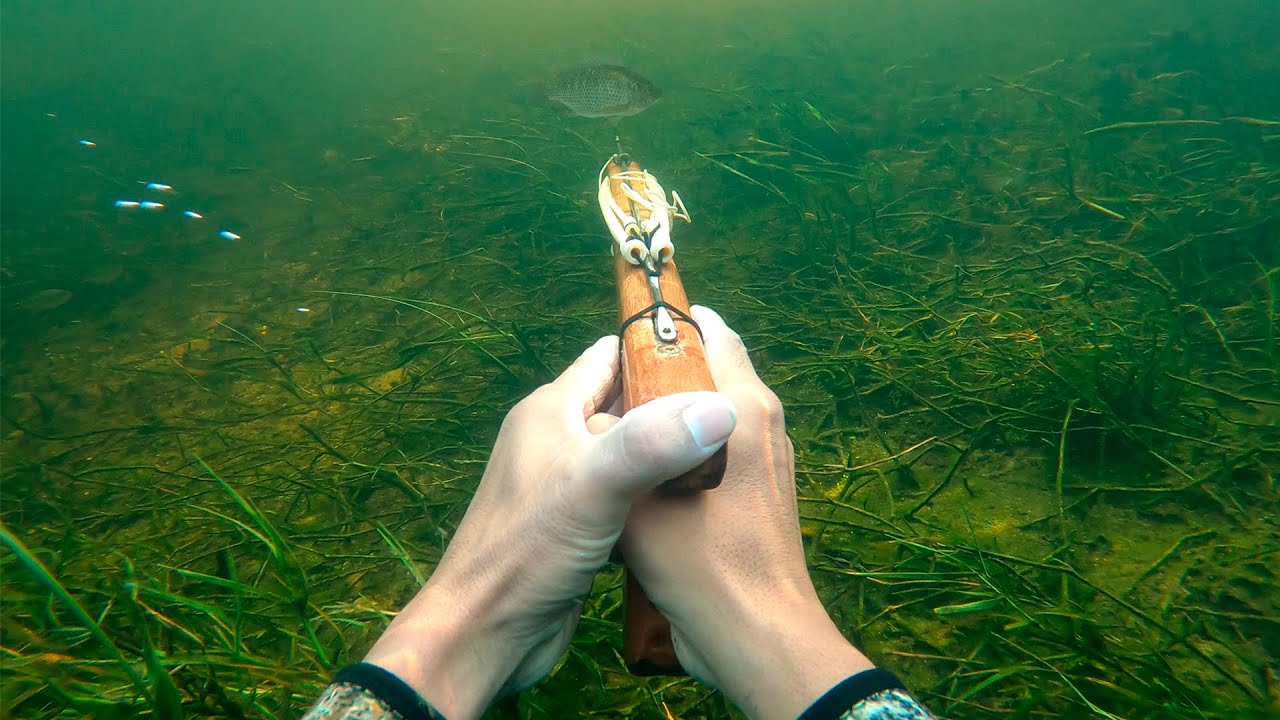 Pesca Con Arpón En Aguas Cristalinas 2022