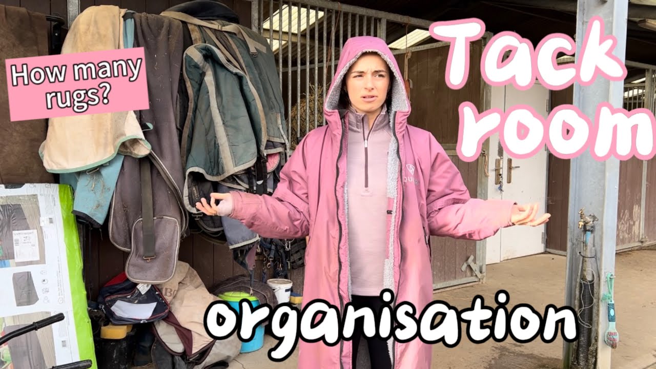 TACK ROOM ORGANISATION